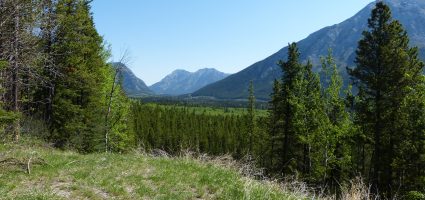 "Life is too short to wait"