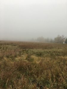 The fog of the unknown future.