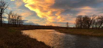 "Be smart, help yourself now."